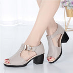 Chaussures Mère Talons Épais Boucle Sandales Femme