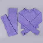 Ensemble de yoga sans coutures Vêtements de sport Tenue de gymnastique Tenue d'entraînement
