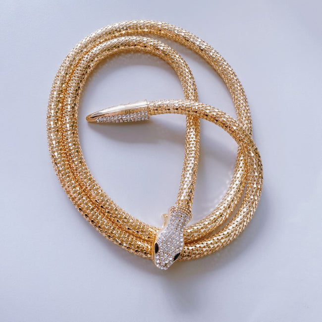 Collier Serpent Exagéré Micro-incrusté Collier Long Main Image