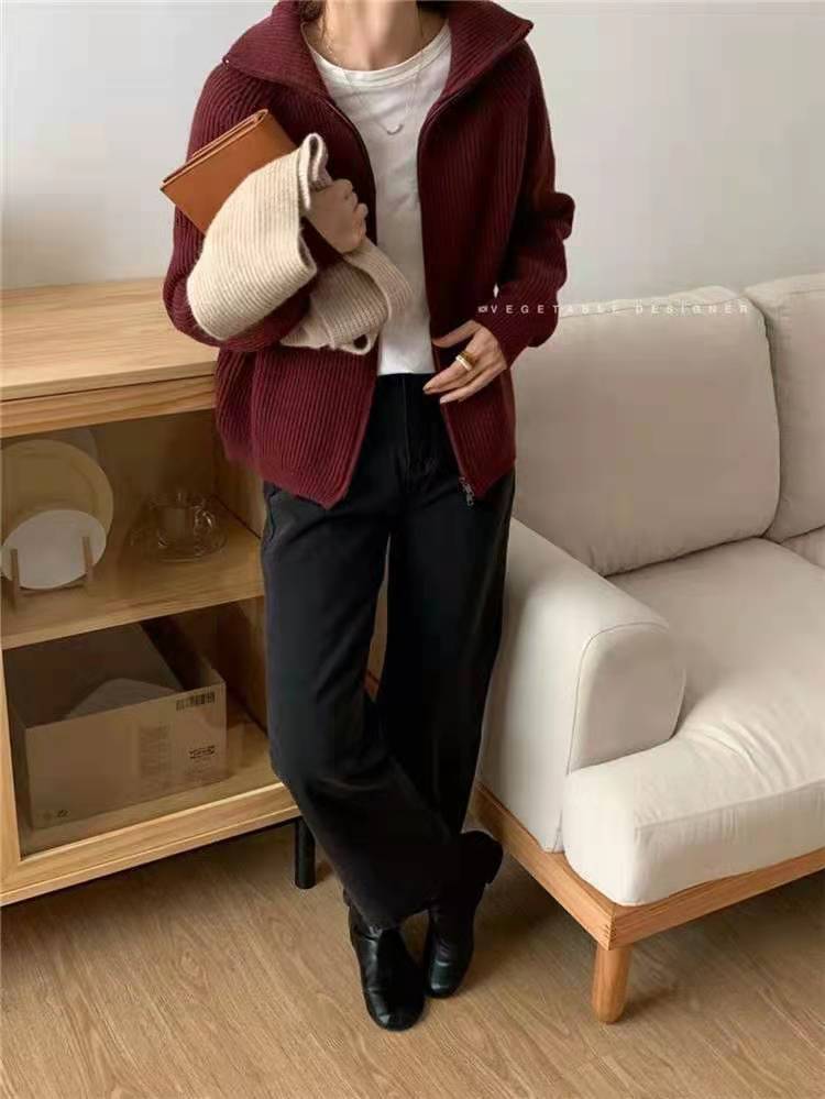 Pull à col roulé épais pour femme, polyvalent