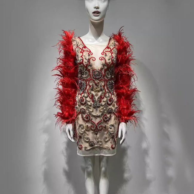 Robe longue en maille rouge ornée de plumes et de strass pour femme à manches longues Main Image